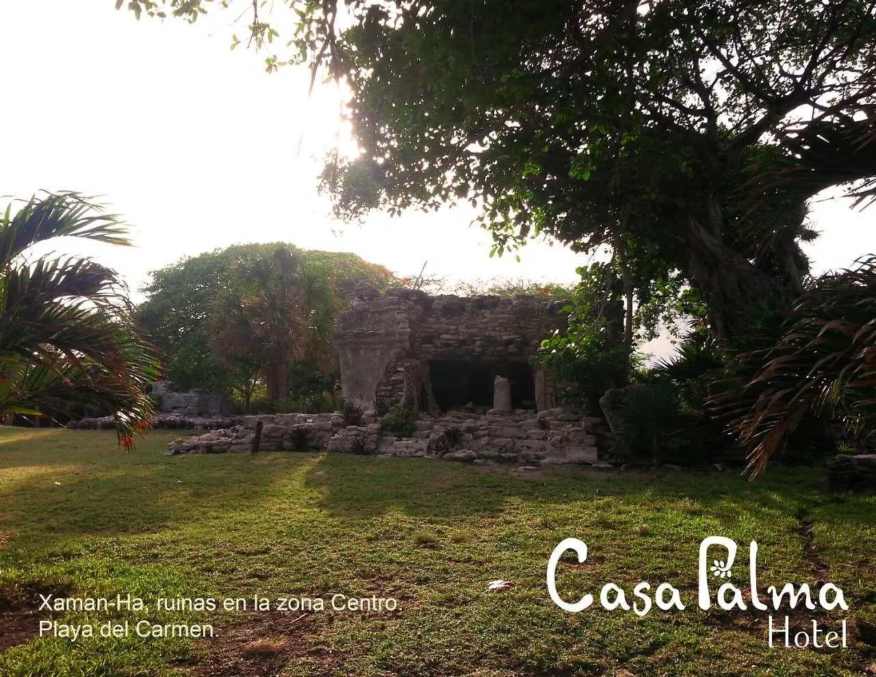 Casa Palma Hotel Playa del Carmen